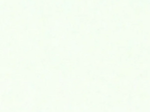 5mm Flat Texture Contemporary PVC Environmentally Friendly Wall Panels for Stylish Interiors