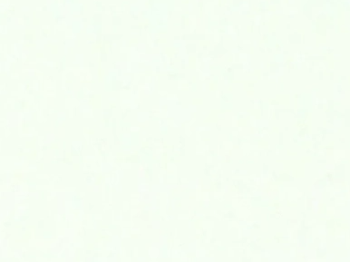 5mm Flat Texture Contemporary PVC Environmentally Friendly Wall Panels for Stylish Interiors