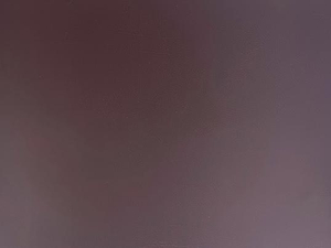 Flat Texture Metal Sandwich Panel for Insulation Roof Wall