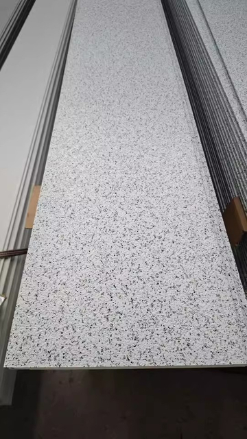 Pavilion Metal Insulation Wall Panel 
