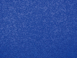 Contemporary House Panel for Weather-Resistant Shop and Kiosk Applications Panel