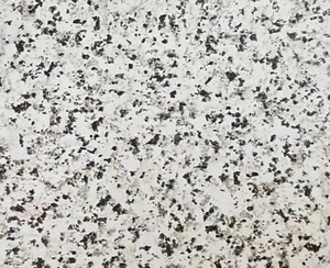 Metal Sandwich Exterior Carved Wall Panels