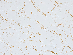 Marble Texture Insulation Panels Decorative Wall Panels