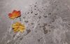 4mm/5mm SPC Flooring, Embossed Flame-retardant SPC self-laid flooring