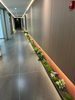 Economical Termite-Proof Panel for Shopping Malls and Hospitals