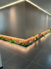 Economical Termite-Proof Panel for Shopping Malls and Hospitals