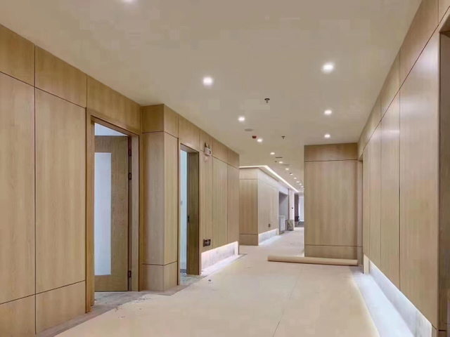 Economical Flame-Retardant PVC Wall Panels for Safe Environments