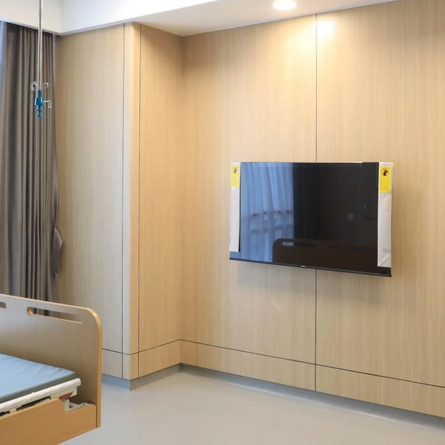 Odorless Decorative Panels for Moisture-Proof Home and Hospital Use