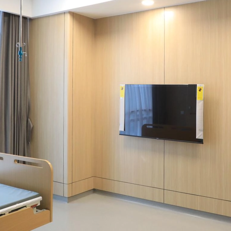 Odorless Decorative Panels for Moisture-Proof Home and Hospital Use