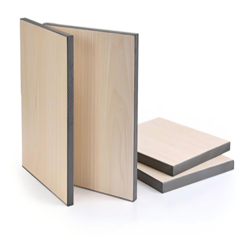 Airport Train Station Durable Compact HPL Panel Restroom Partition