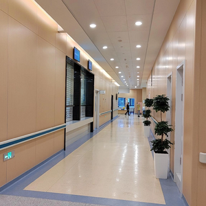 High Performance PVC Wall Panels for Schools and Shopping Malls