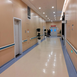 HPL Fireproof MGO Decorative Interior PVC Film Laminated Wall Panel