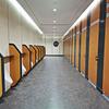 Moisture-Proof And Fireproof Furniture Surface Compact Board for Walls