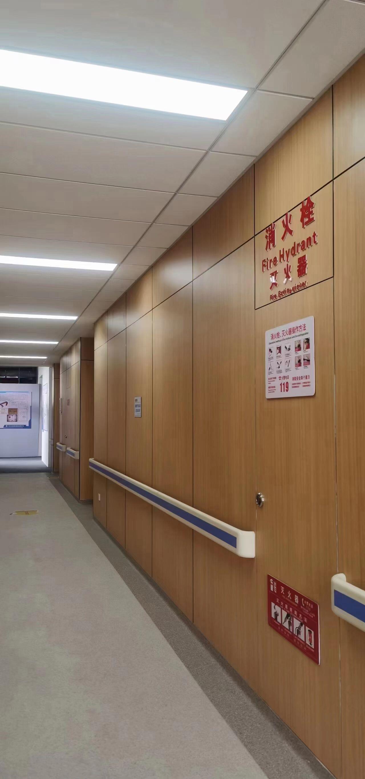 Economical Flame-Retardant PVC Wall Panels for Safe Environments