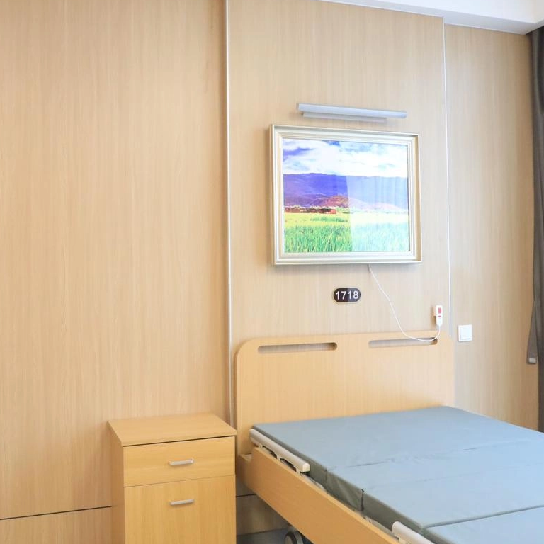 Moisture-Proof PVC Interior Wall Panels for Schools and Shopping Malls