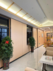 Economical Termite-Proof Panel for Shopping Malls and Hospitals