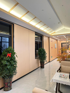 Economical Termite-Proof Panel for Shopping Malls and Hospitals
