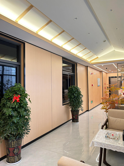 Economical Termite-Proof Panel for Shopping Malls and Hospitals